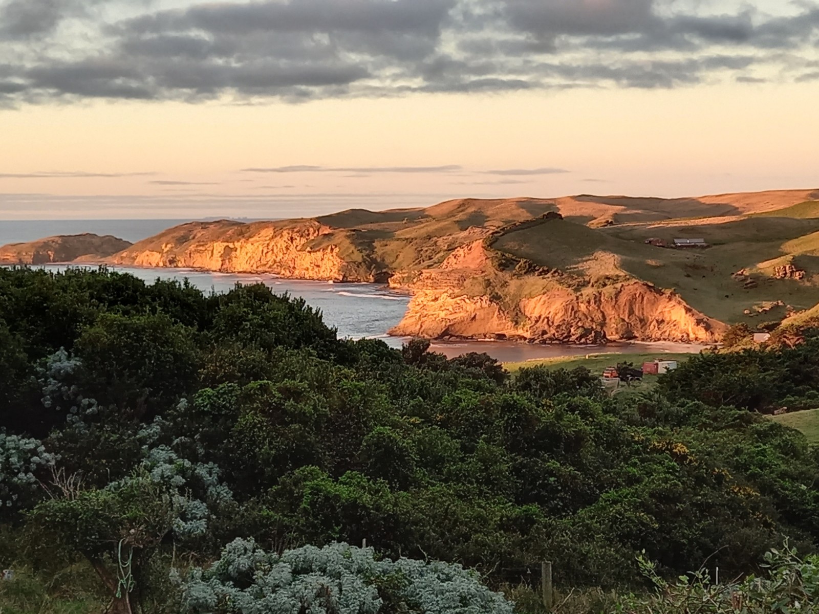 My Home, Pitt Island